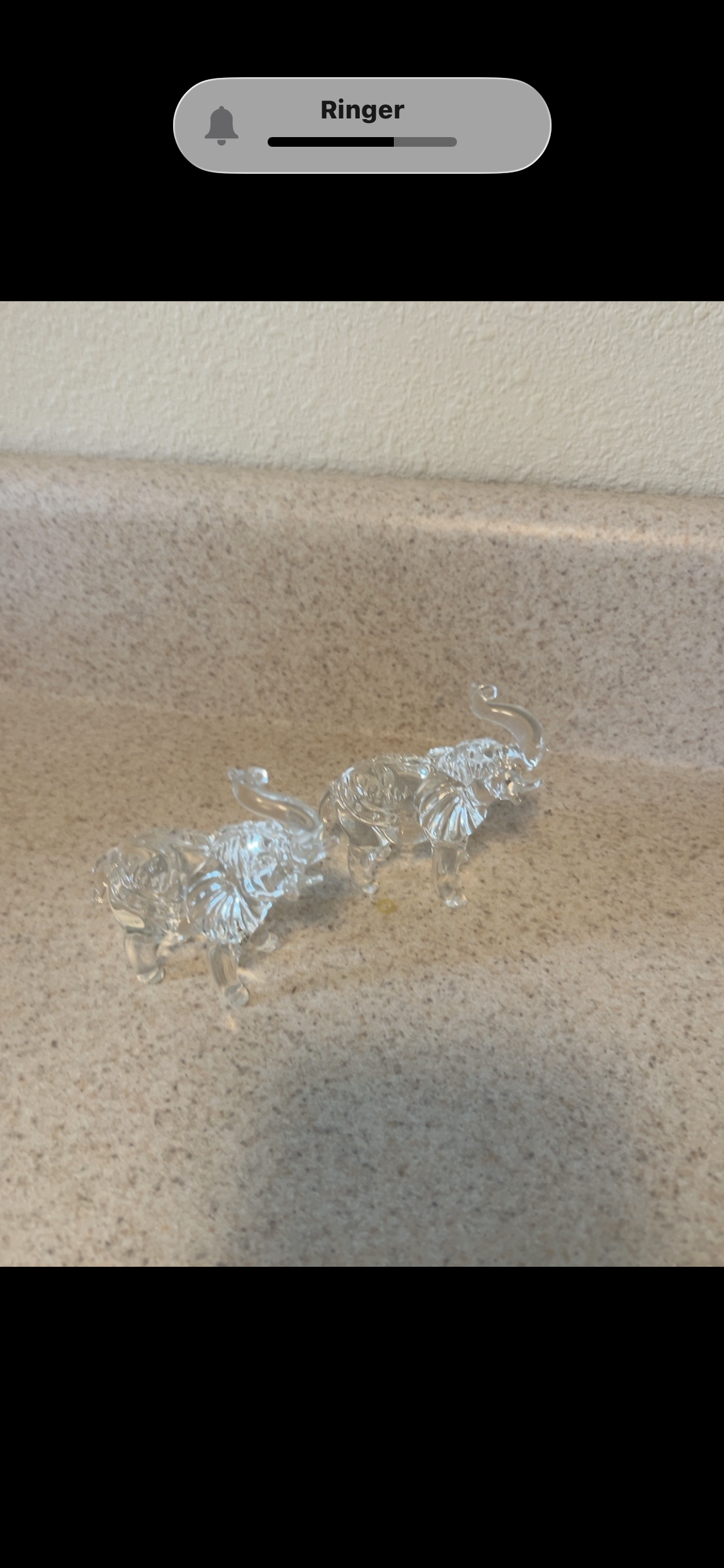 Crystal elephant fig