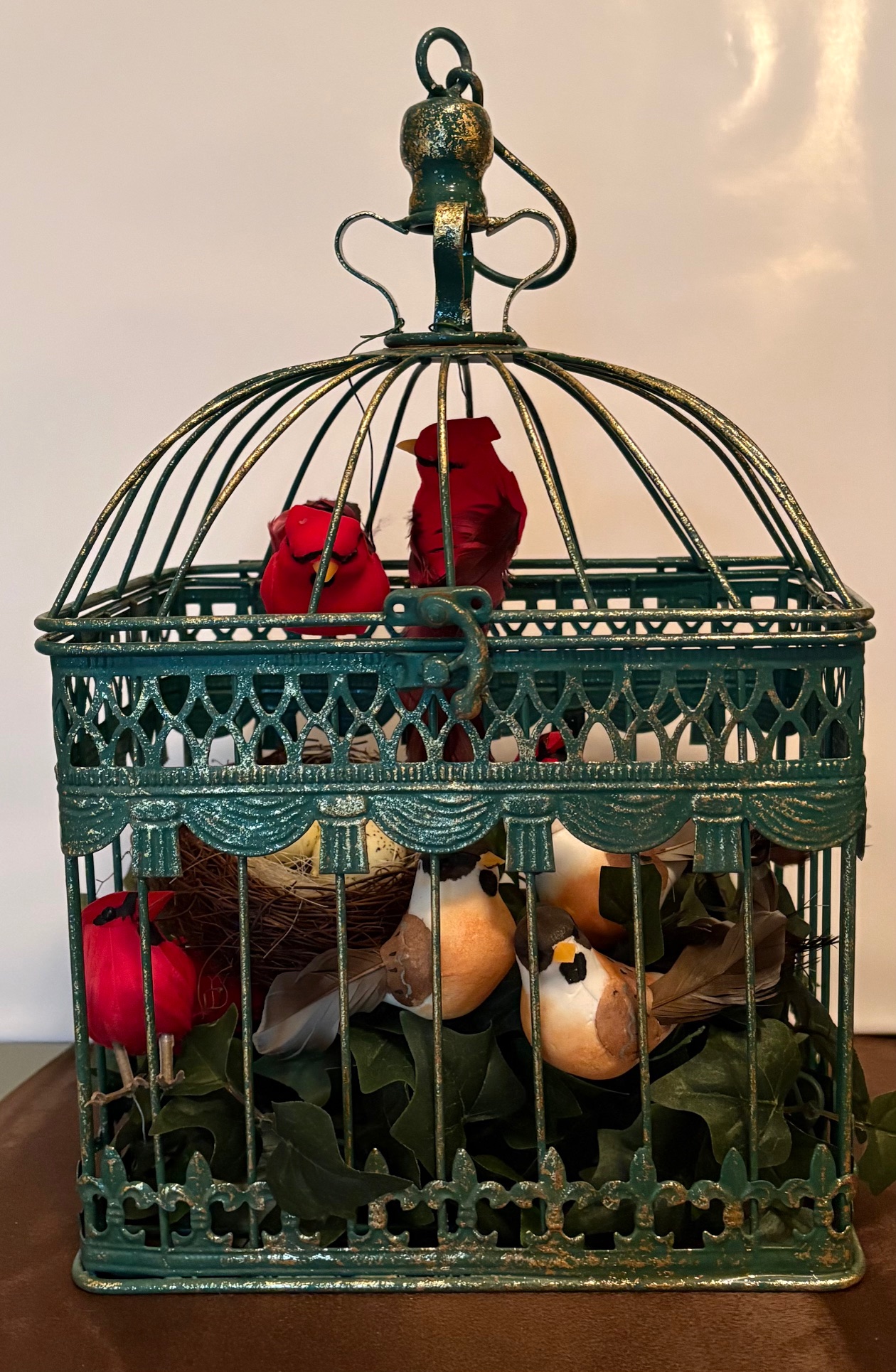 Bird's Nest